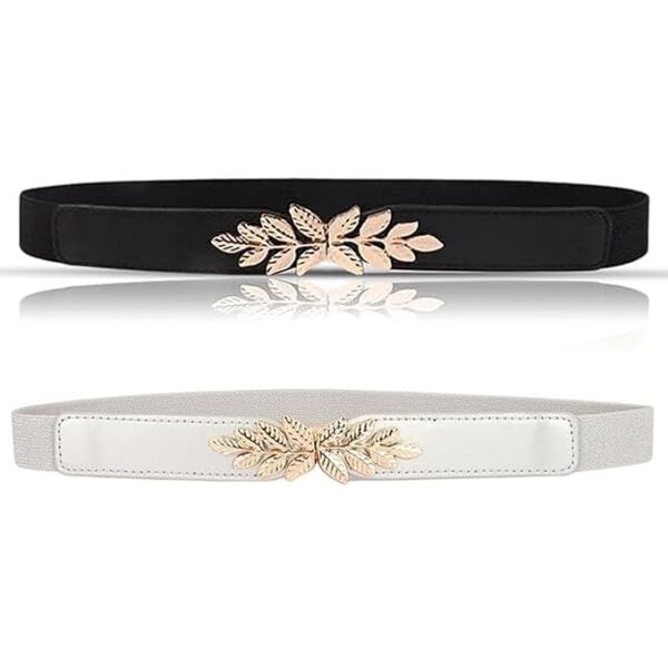 Shining Diva Fashion 2 Pcs Combo Belts for Women and Girls Stylish Waist Belt for Dresses Jeans Saree